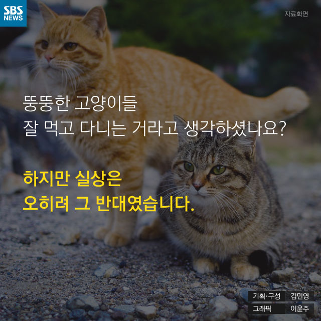 메인이미지  14 : 