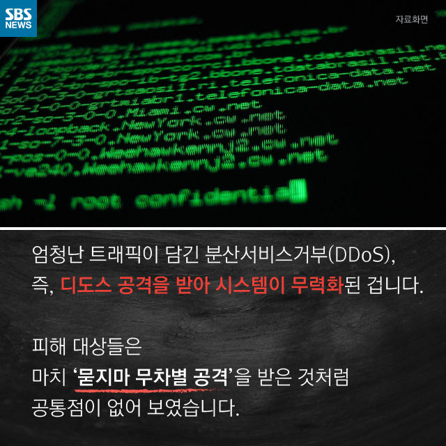 메인이미지  7 : 