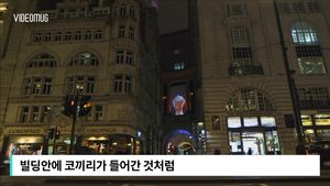 [비디오머그] 갤러리가 된 도시&hellip;런던 '루미에르 축제'