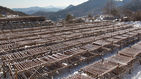 섬네일이미지  3: