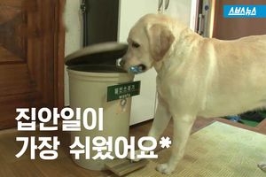 심부름&middot;집안일 알아서 '척척'&hellip;교감이 만든 기적