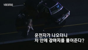 [비디오머그] 개 잔뜩 태우고 과속&hellip;순식간에 도로 난장판
