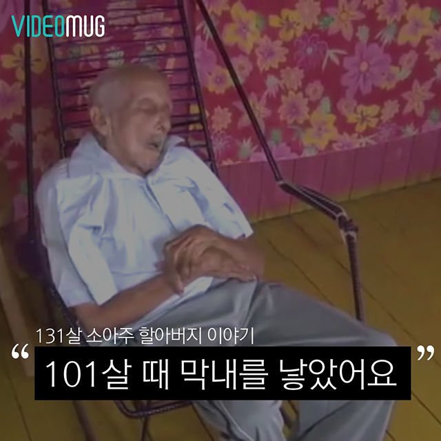 메인이미지  1 : 
