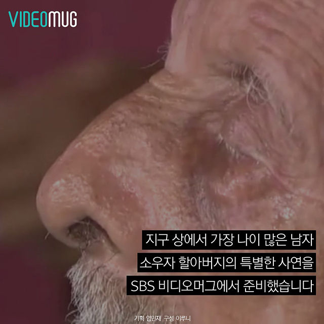 메인이미지  9 : 