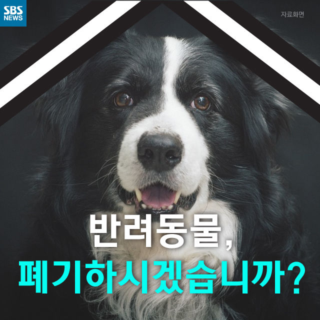 메인이미지  1 : 