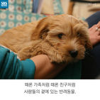 섬네일이미지  2: