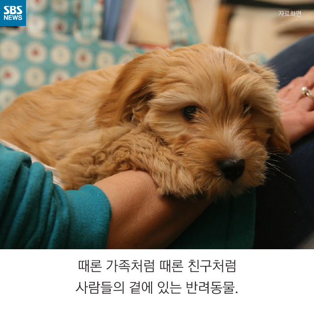 메인이미지  2 : 