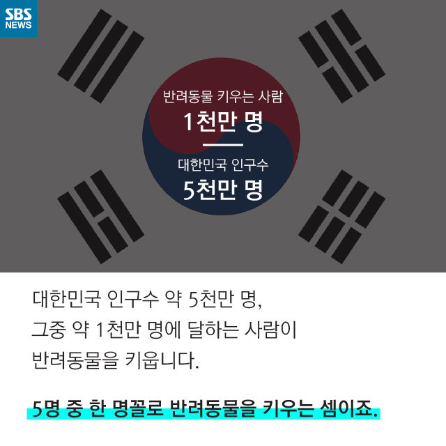 메인이미지  3 : 