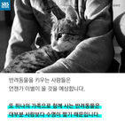섬네일이미지  4: