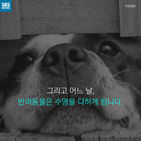 섬네일이미지  5: