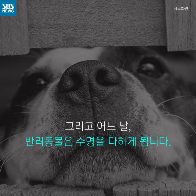 메인이미지  5 : 