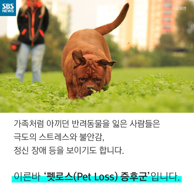 메인이미지  6 : 