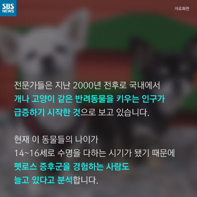 메인이미지  7 : 