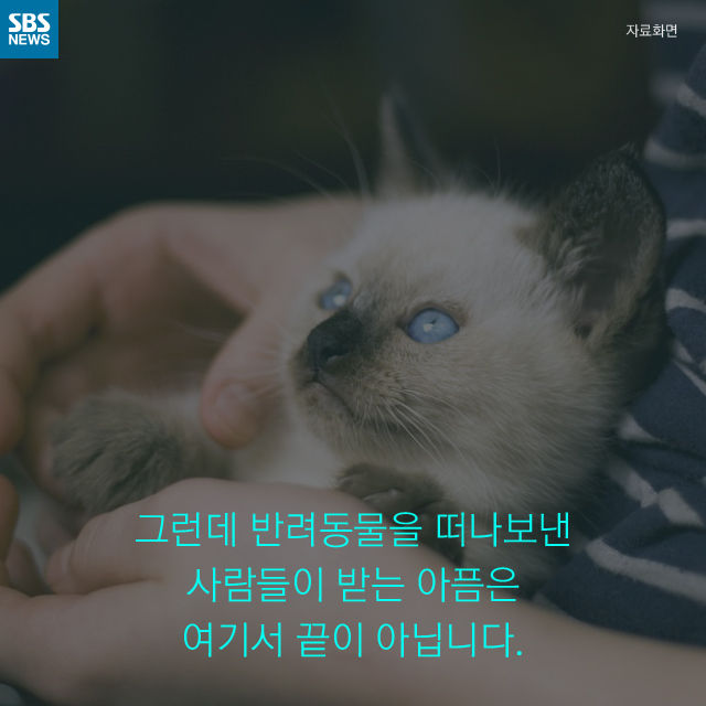 메인이미지  8 : 