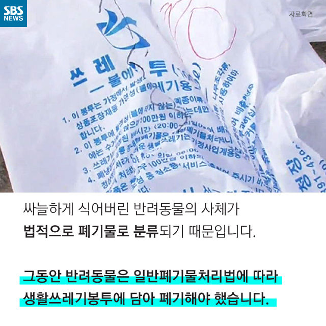 메인이미지  9 : 