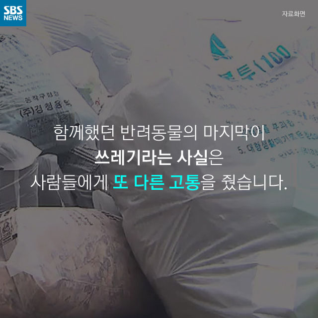 메인이미지  10 : 