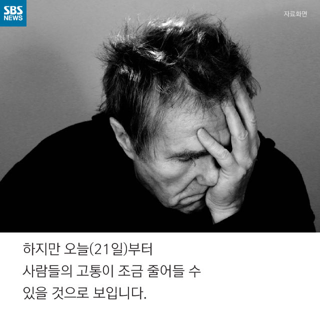 메인이미지  11 : 