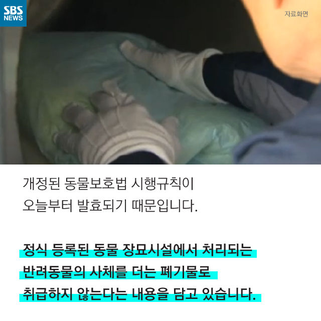 메인이미지  12 : 