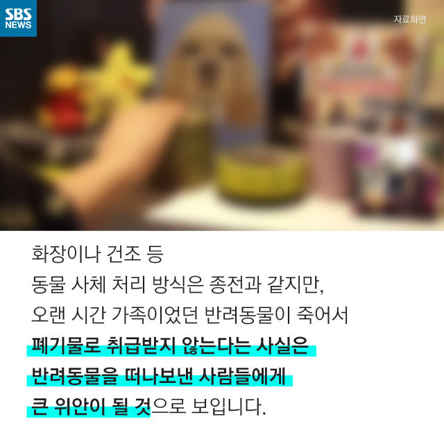 메인이미지  13 : 