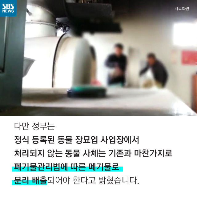 메인이미지  14 : 