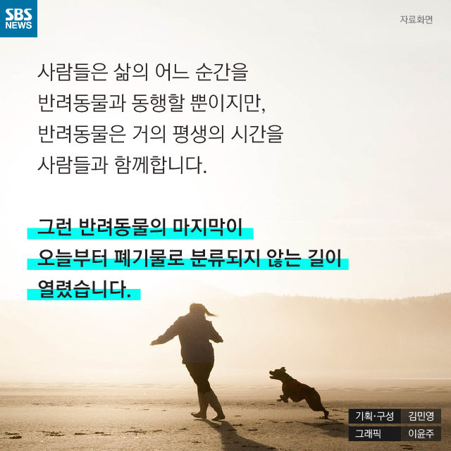메인이미지  15 : 