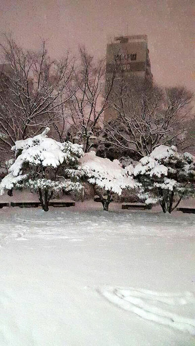 메인이미지  4 : 강추위와 함께 많은 눈이 내리면서 24일 전북 곳곳에 대설경보&middot;대설주의보, 한파경보, 강풍경보가 내려졌다. 전날부터 내린 눈은 정읍에 24㎝, 전주에 15㎝, 남원에 12㎝가 쌓였다.