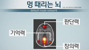 [건강리포트] '멍 때리면' 기억력 좋아진다?&hellip;놀라운 실험 결과