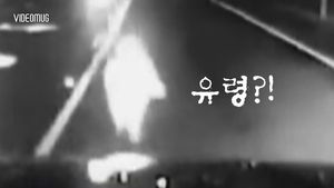 [비디오머그] 고속도로 한복판서 수상한 움직임&hellip;'미국판 자유로 귀신?'