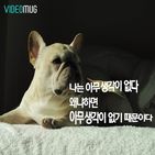 섬네일이미지  1: