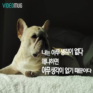 [비디오머그] "난 아무 생각이 없다"&hellip;멍 때리기의 효과