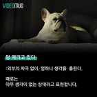 섬네일이미지  2: