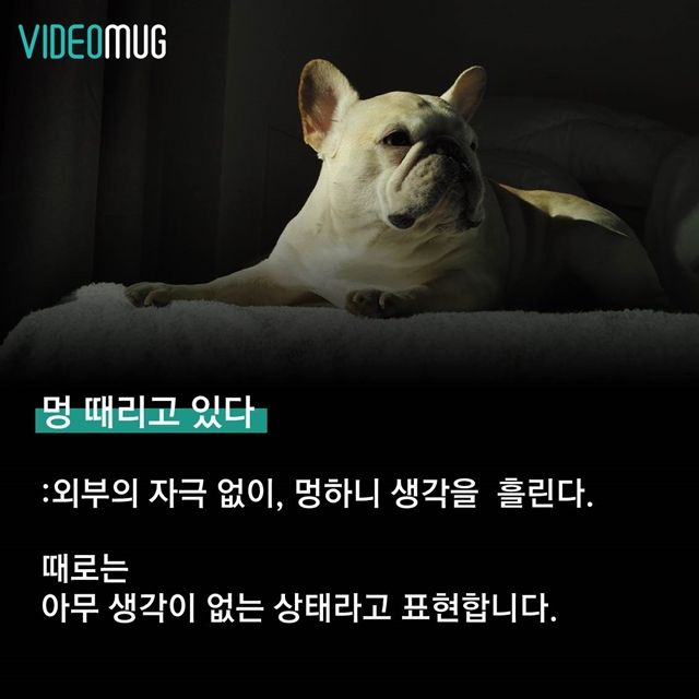 메인이미지  2 : 