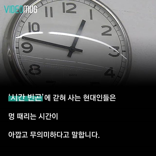 메인이미지  8 : 