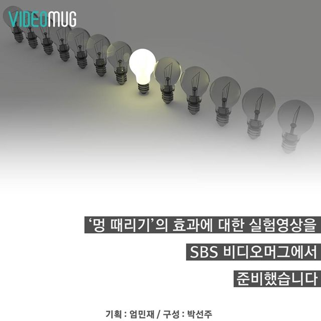 메인이미지  10 : 