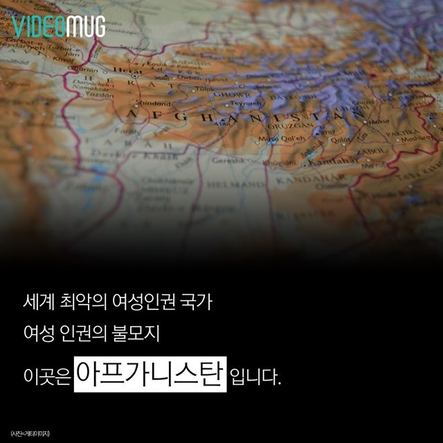 메인이미지  6 : 