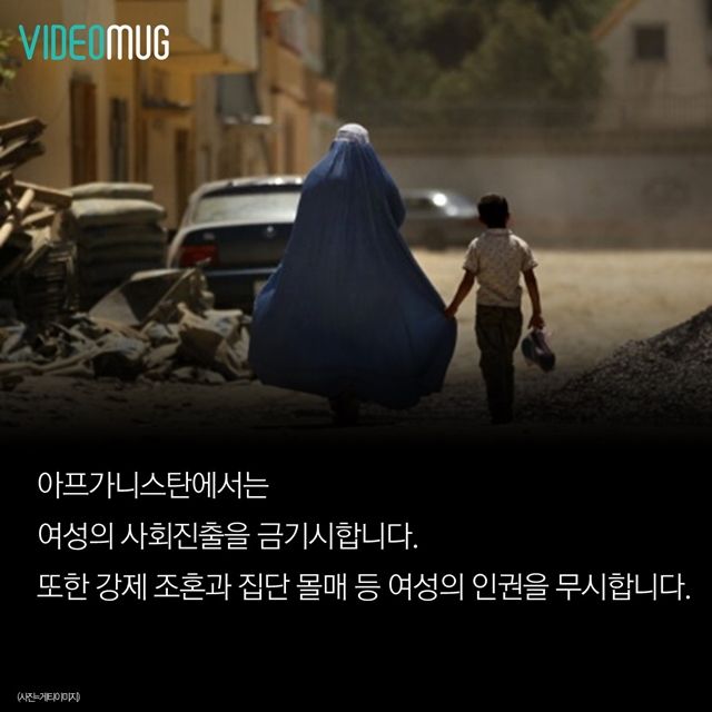 메인이미지  7 : 