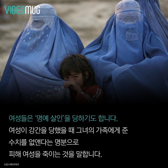 메인이미지  8 : 