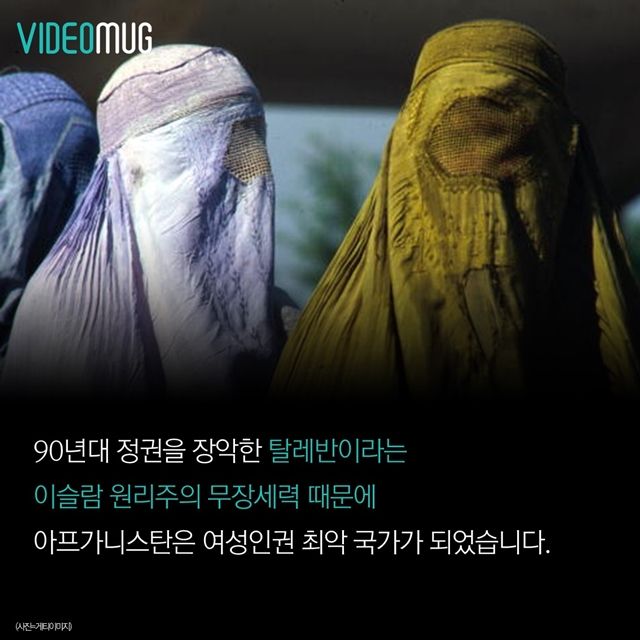 메인이미지  11 : 