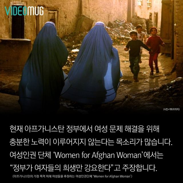 메인이미지  13 : 
