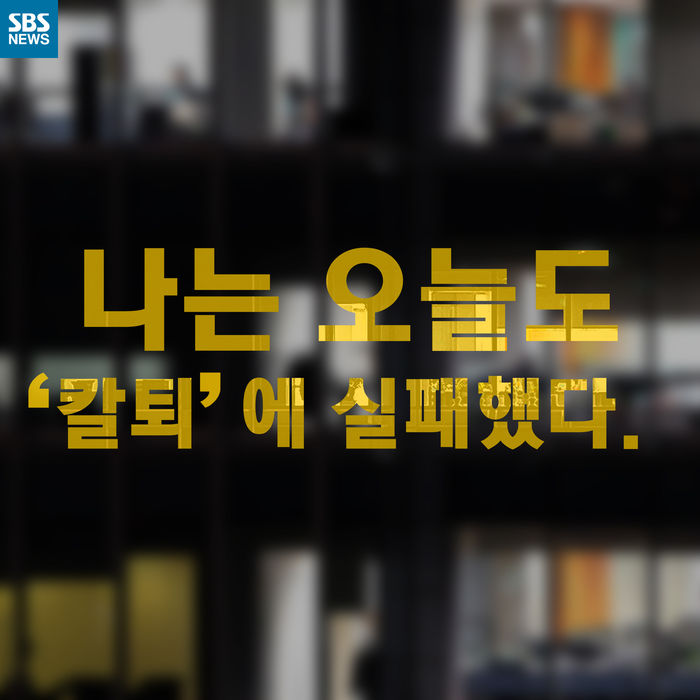 메인이미지  1 : 