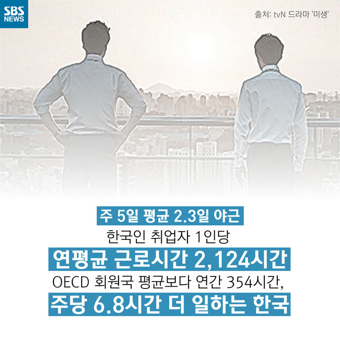 메인이미지  6 : 