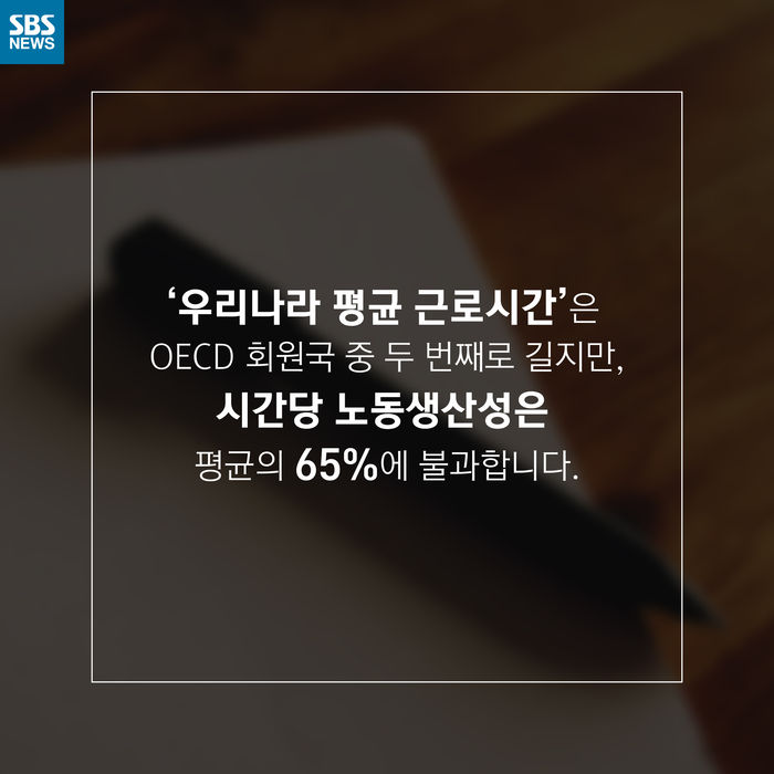 메인이미지  7 : 