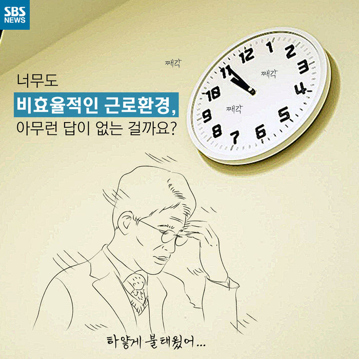 메인이미지  8 : 