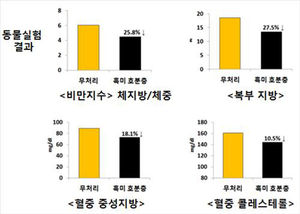 흑미 추출물, 체지방 감소 효과 입증