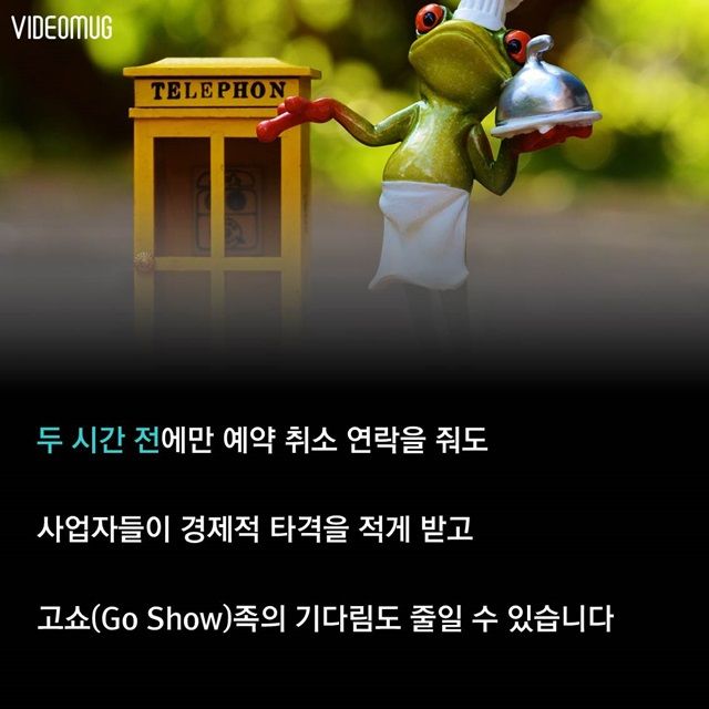 메인이미지  8 : 