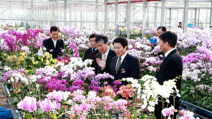 메인이미지  1 : 27일 전북 완주군 국립원예특작과학원에서 국산 난 심비디움&middot;팔레놉시스 45계통 및 품종 평가회가 열렸다.