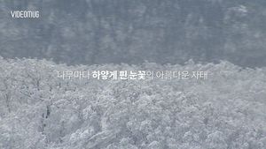 [비디오머그] 32년 만에 폭설이 만든 눈 덮인 한라산의 비경 ‘장관’