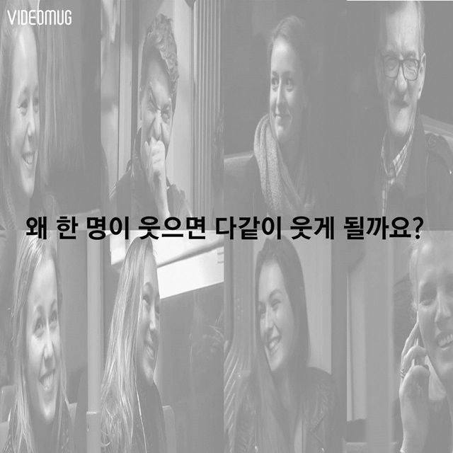 메인이미지  7 : 