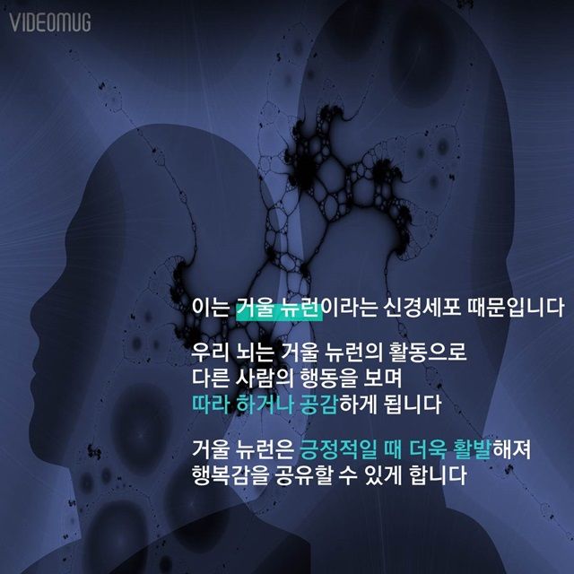 메인이미지  8 : 