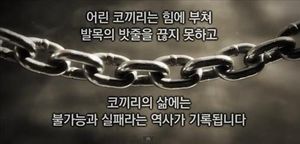 "위안부가 돈 많이 받는 매춘부라고?"&hellip;반크, 뿔났다